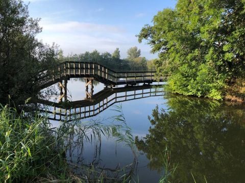 Recreatiepark De Wielen - Schagen - Afbeelding N°21