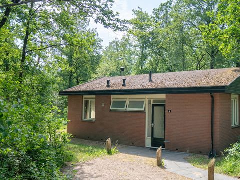 Summio Parc Heihaas - Camping Ermelo - Afbeelding N°0