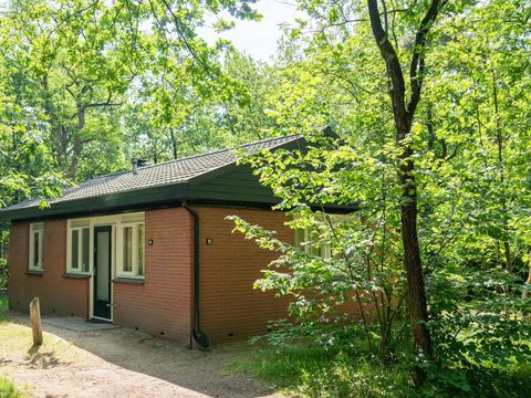 Summio Parc Heihaas - Camping Ermelo - Afbeelding N°0