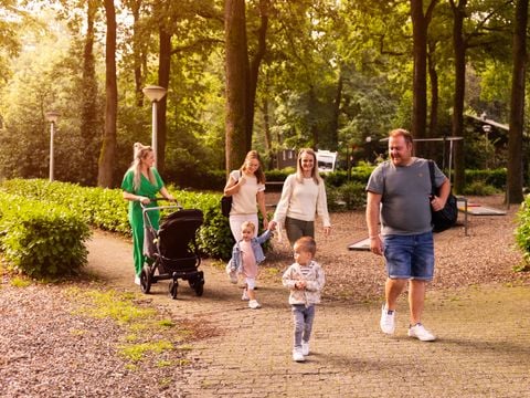 Summio Parc Heihaas - Camping Ermelo - Afbeelding N°3