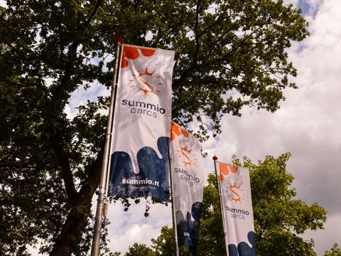 Summio Parc Heihaas - Camping Ermelo - Afbeelding N°5