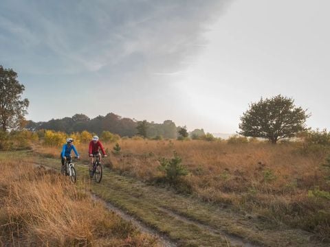 Landal Sallandse Heuvelrug - Wierden