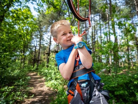 Landal Kaap West - Terschelling