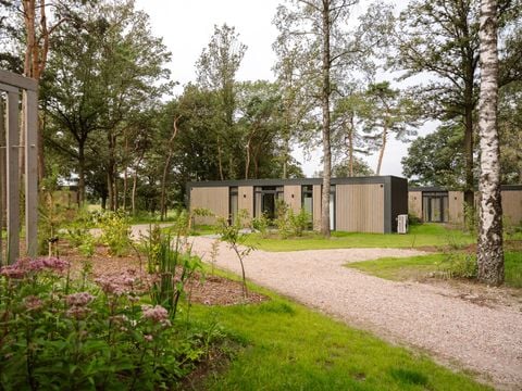 Zicht op Twente - Camping Hof van Twente - Afbeelding N°0