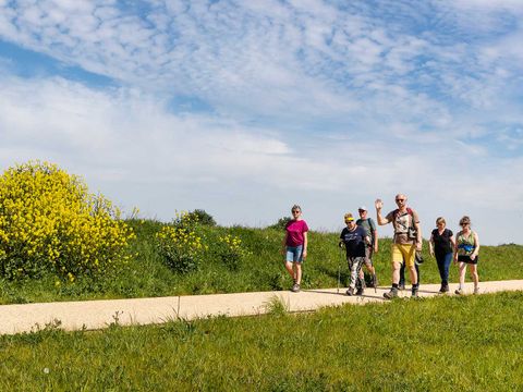 Molecaten Park Waterdunen - Sluis - Afbeelding N°21