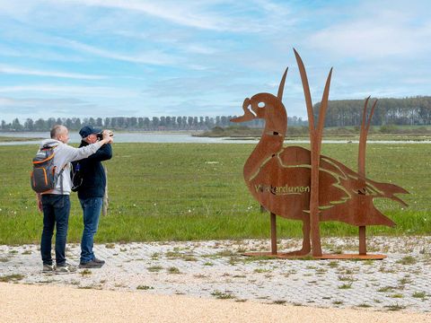 Molecaten Park Waterdunen - Sluis - Afbeelding N°22