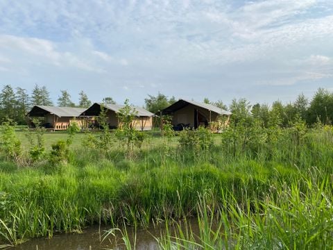 Vodatent Natuurlijk de Veenhoop - Smallingerland - Afbeelding N°4