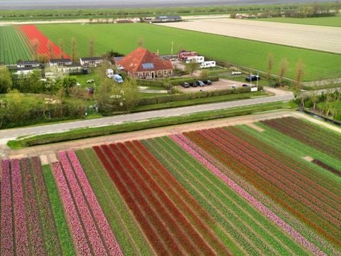 Vodatent Camping de Tulpenweide - Hollands Kroon