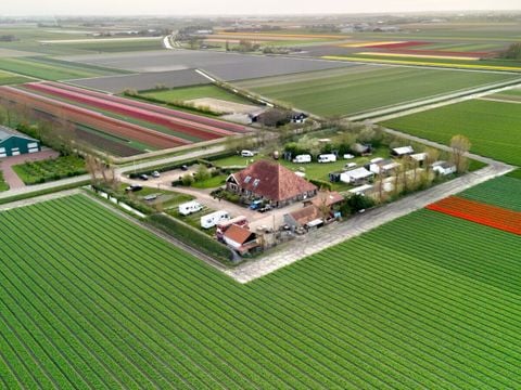 Vodatent Camping de Tulpenweide - Hollands Kroon - Afbeelding N°0