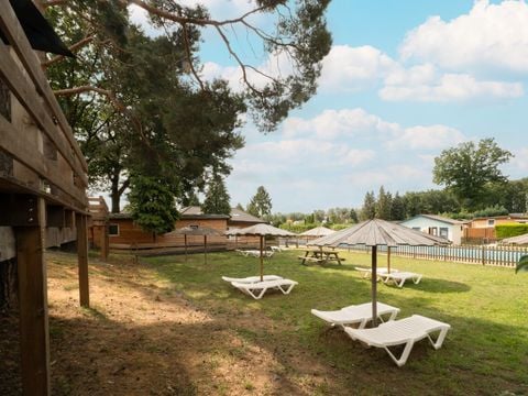 Recreatiepark Maas en Bos - Camping Bergen - Afbeelding N°3