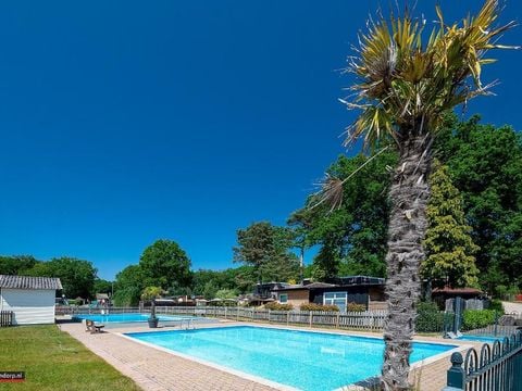 Recreatiepark Maas en Bos - Camping Bergen - Afbeelding N°2