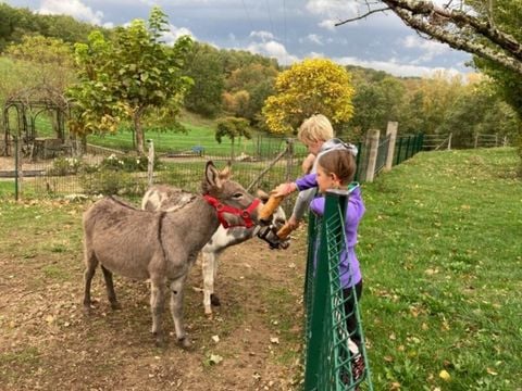 Vodatent Camping Fargogne - Tarn-et-Garonne - Afbeelding N°3