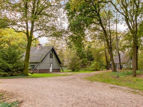 Summio Bungalowpark Herperduin - Camping Oss - Afbeelding N°0