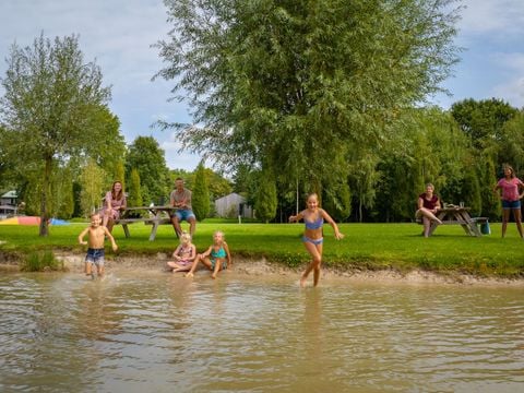 Landal Klein Oisterwijk - Camping Oisterwijk - Afbeelding N°4