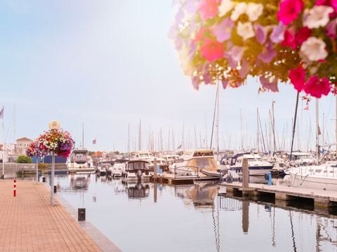 Summio Marina Port Zelande  - Camping Goeree-Overflakkee - Afbeelding N°0
