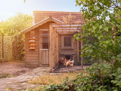 Summio Bungalowpark De Riethorst - Camping Mook und Middelaar - Afbeelding N°2