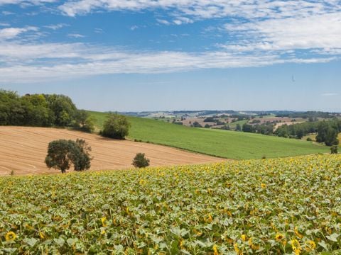 Vodatent Camping Le Camp de Florence - Gers - Afbeelding N°2