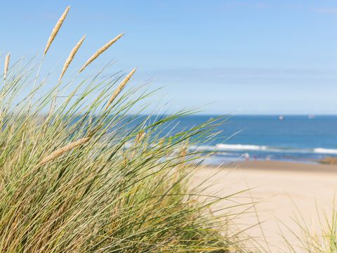 Roompot Strandpark Zeeland - Camping Vlissingen - Afbeelding N°3