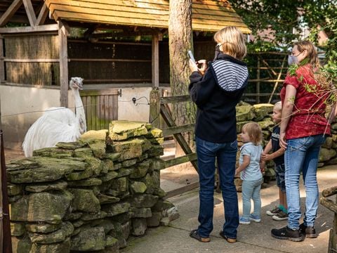 Familiepark Goolderheide - Camping Belgisch Limburg - Afbeelding N°5