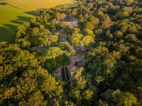 Roodewoud - Aa en Hunze - Afbeelding N°0