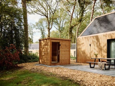 Roodewoud - Aa en Hunze - Afbeelding N°5