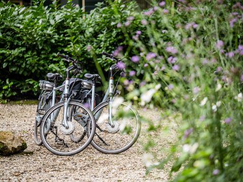 Vakantiepark Zevenbergen - Bernheze - Afbeelding N°11