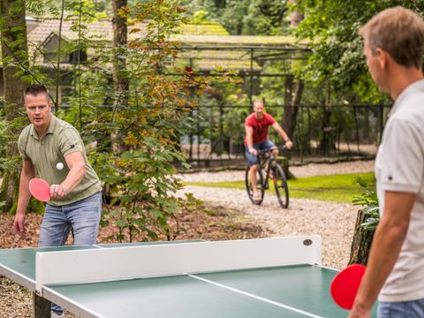 Vakantiepark Zevenbergen - Bernheze - Afbeelding N°12