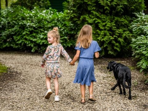 Vakantiepark Zevenbergen - Camping Bernheze - Afbeelding N°2