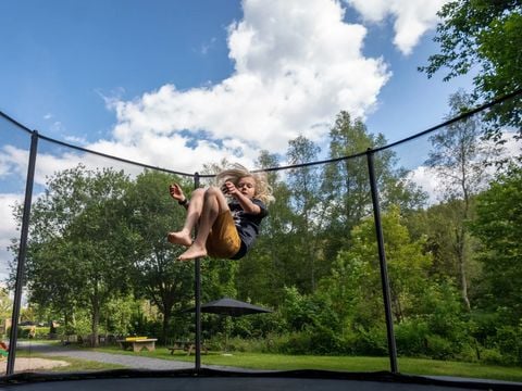 Landal Nature Parc Saint Hubert - Camping Luxemburg - Afbeelding N°3