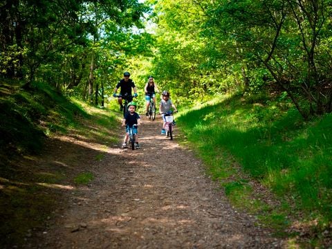 Landal Seawest - Zuid-Denemarken
