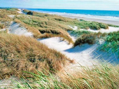 Landal Seawest - Zuid-Denemarken - Afbeelding N°40