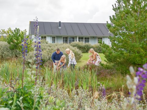 Landal Seawest - Zuid-Denemarken - Afbeelding N°35