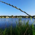Recreatiepark de Bosrand Recreatiepark de Bosrand