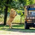 Serengeti Park