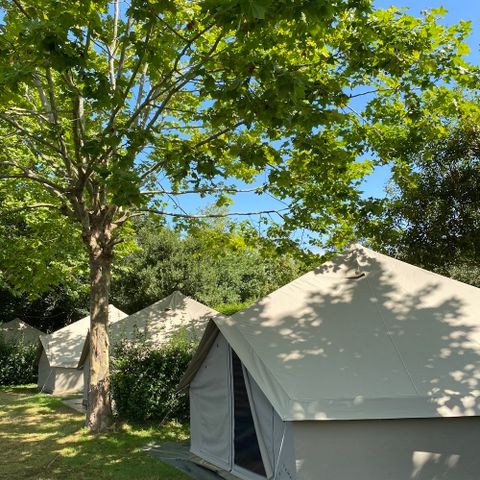 wecamp Cudillero - Camping Asturië  - Afbeelding N°6