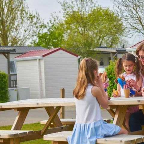 Siblu Camping de Oase - Camping Renesse - Afbeelding N°3