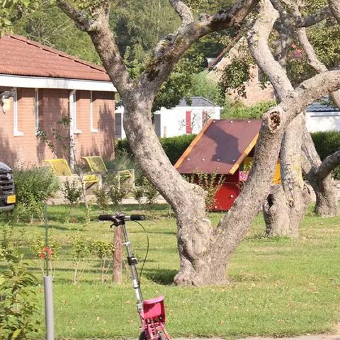 Siblu Camping In de Bongerd - Camping Veere - Afbeelding N°5