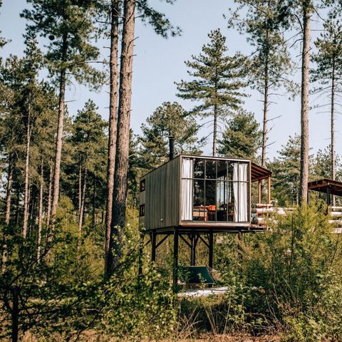 Warredal - Camping Belgisch Limburg - Afbeelding N°2