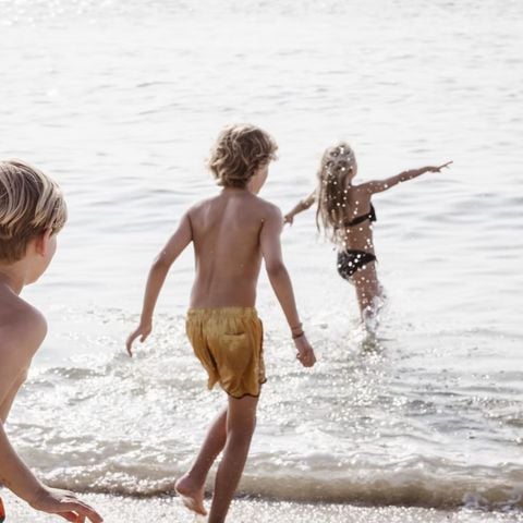 Roompot Strandhuisjes Julianadorp - Camping Den Helder - Afbeelding N°5