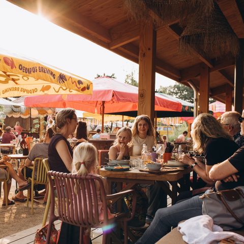 Camping de Kleine Wereld - Ommen - Afbeelding N°6