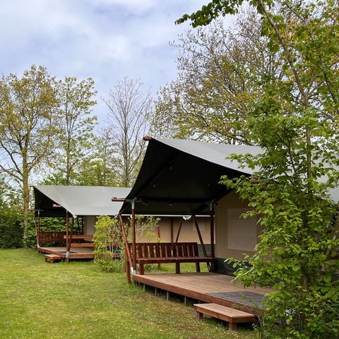 Safaritent 4 personen