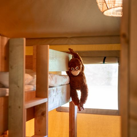 Safaritent 6 personen - Forest Lodge incl. sanitair