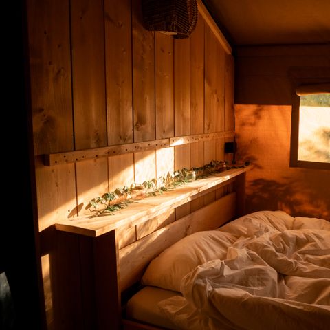 Safaritent 6 personen - Forest Lodge incl. sanitair