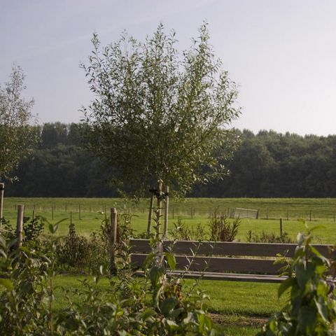 Oosterscheldepark de Stelhoeve - Camping Kapelle - Afbeelding N°6