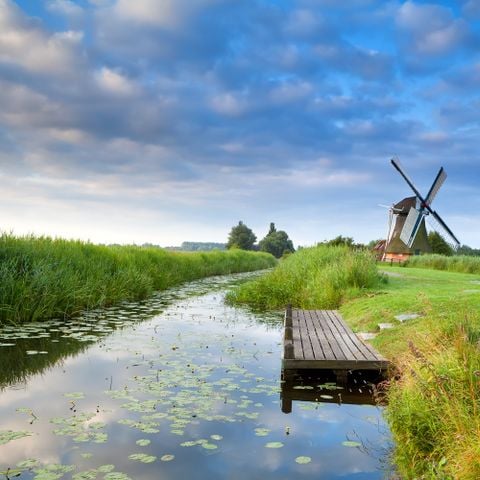 Landal Landgoed Bourtange - Camping Westerwolde - Afbeelding N°5