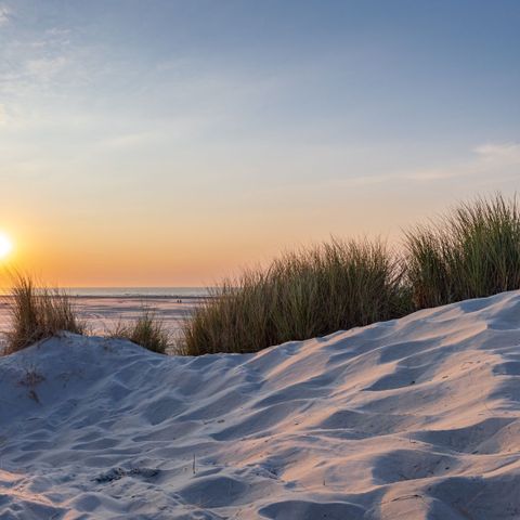 Skylgerduin - Camping Terschelling - Afbeelding N°2