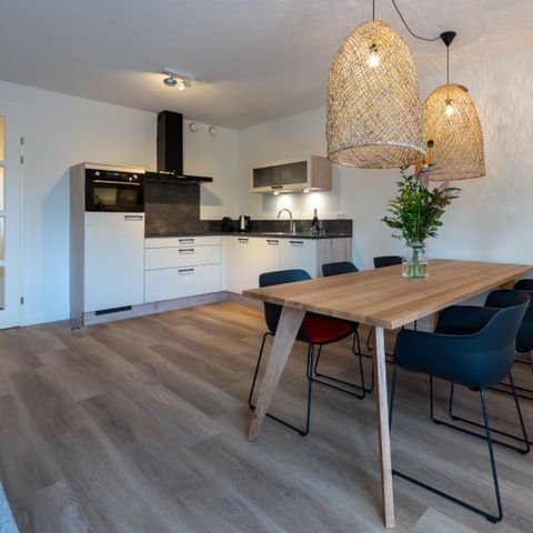 APPARTEMENT 4 personen - Luxe Harbour Loft Polderzicht