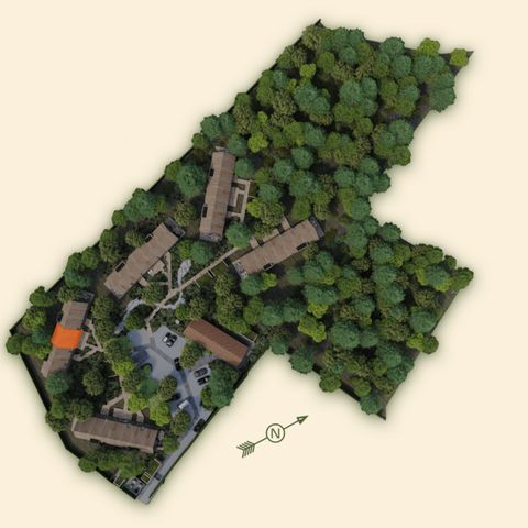 Woodz Lodges  - Camping Belgisch Limburg - Afbeelding N°6