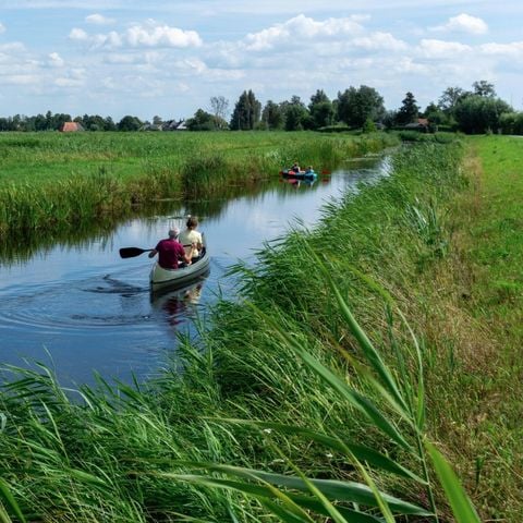 Landal de Wedderplassen - Camping Westerwolde - Afbeelding N°6