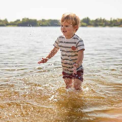 Landal de Wedderplassen - Camping Westerwolde - Afbeelding N°5